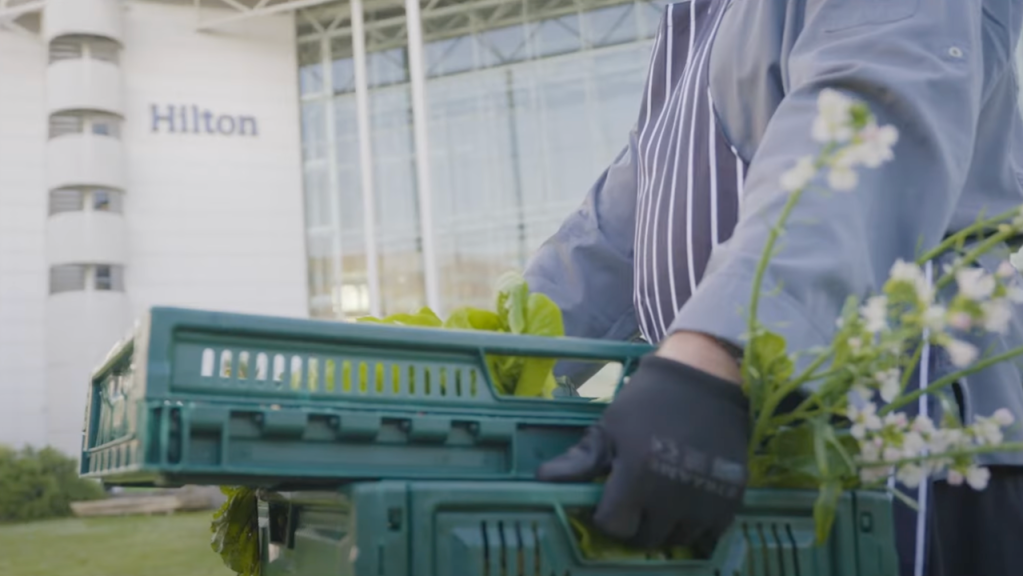 Meet with Purpose Hilton ESG video thumbnail showing plants picked from HIlton hotel 